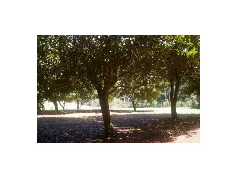 Valla NSW 2448
