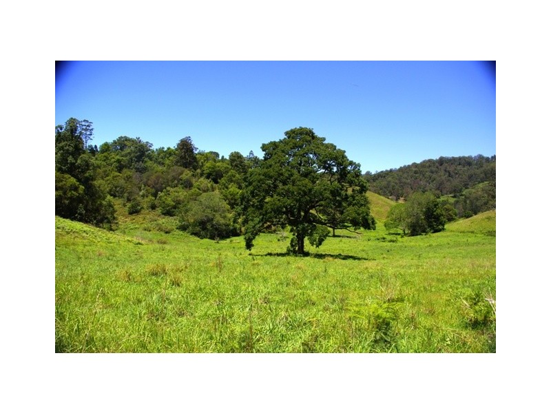 Girralong NSW 2449