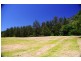 Girralong NSW 2449