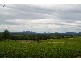 Bowraville NSW 2449