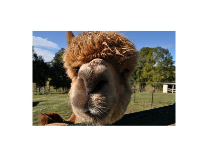 Congarinni North NSW 2447