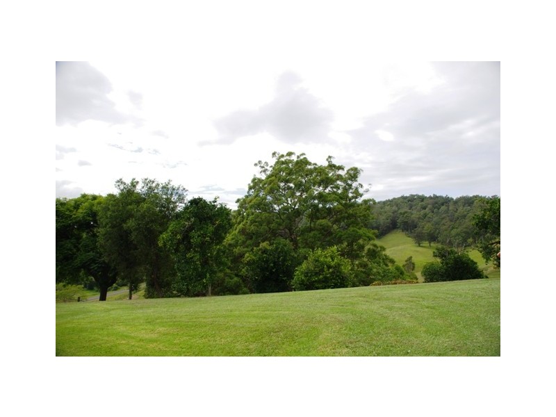 Taylors Arm NSW 2447