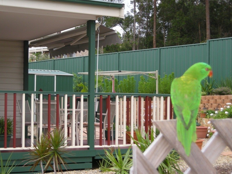 Valla Beach NSW 2448