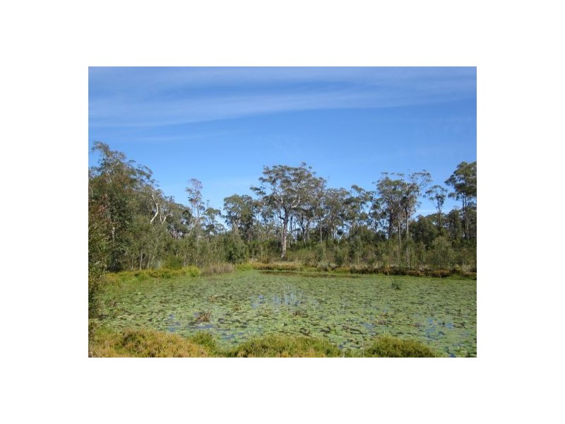 Valla Beach NSW 2448