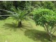 Hyland Park NSW 2448