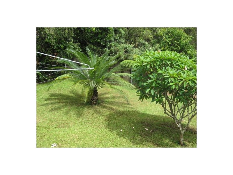 Hyland Park NSW 2448