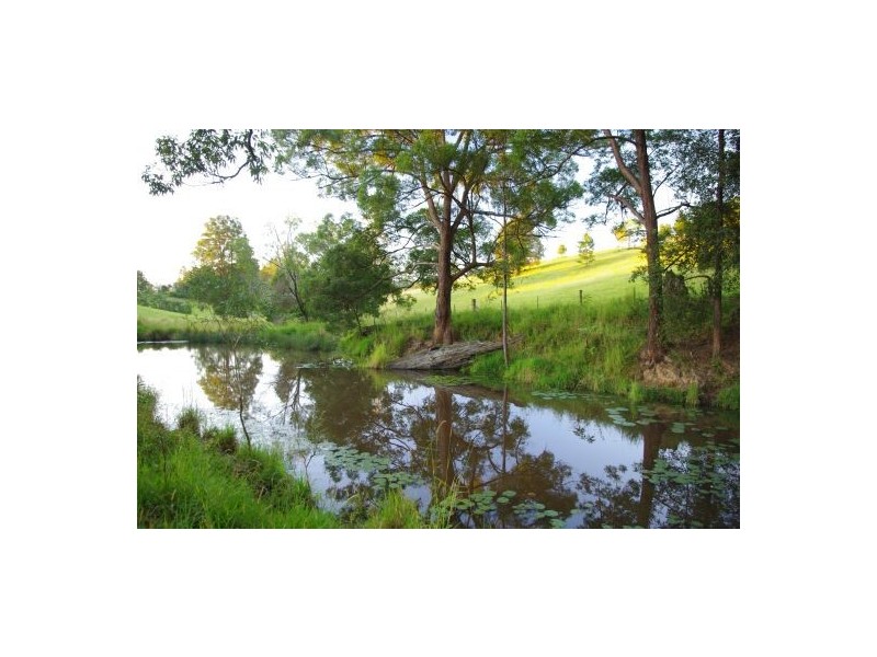 Congarinni North NSW 2447