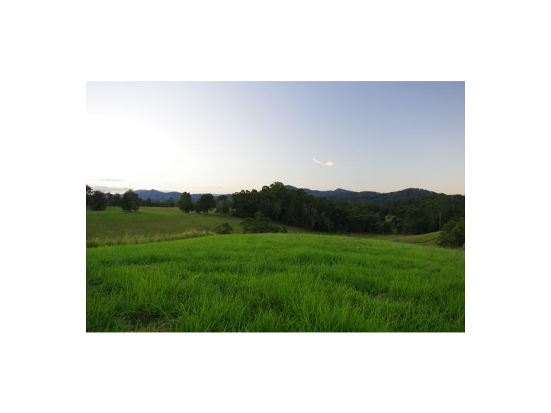 Congarinni North NSW 2447