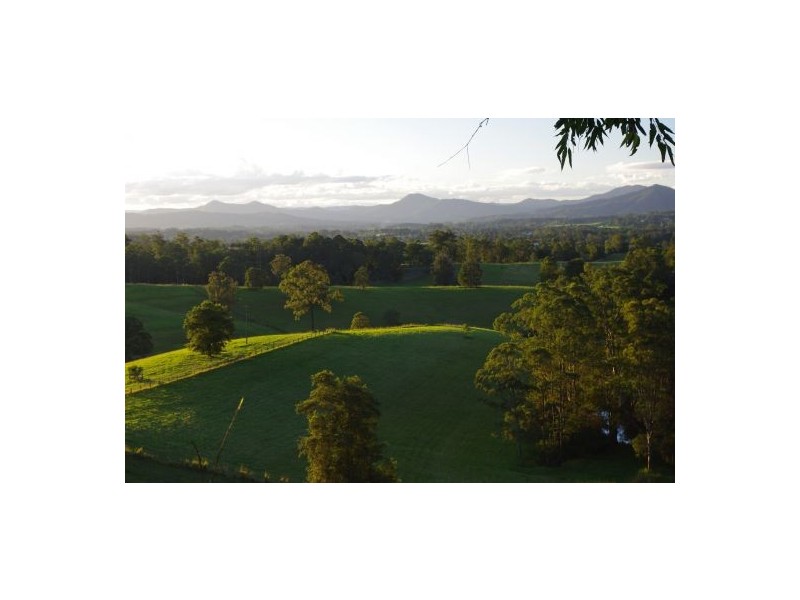 Congarinni North NSW 2447