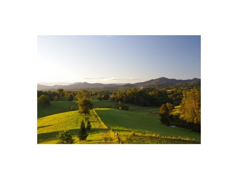 Congarinni North NSW 2447