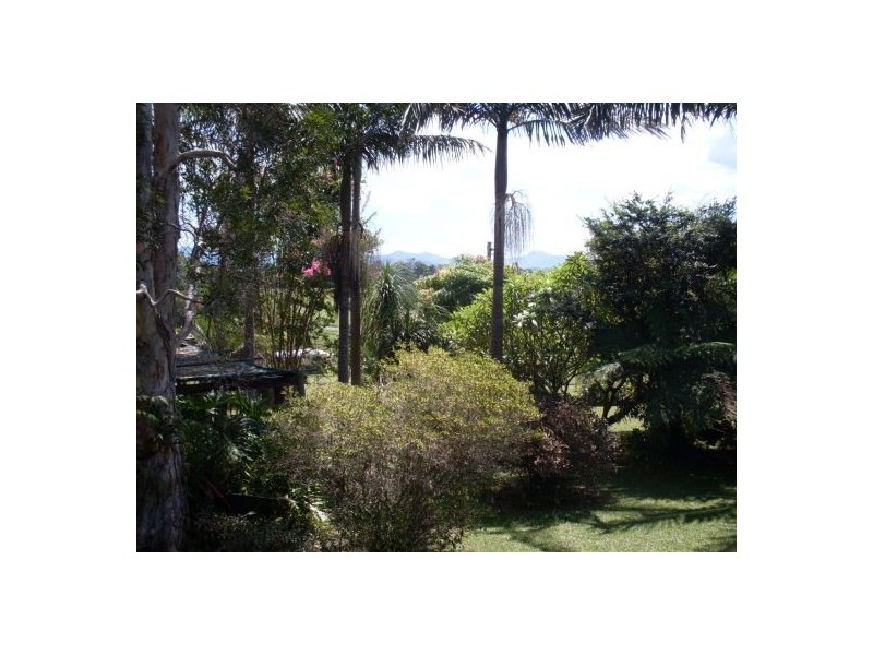 Congarinni North NSW 2447