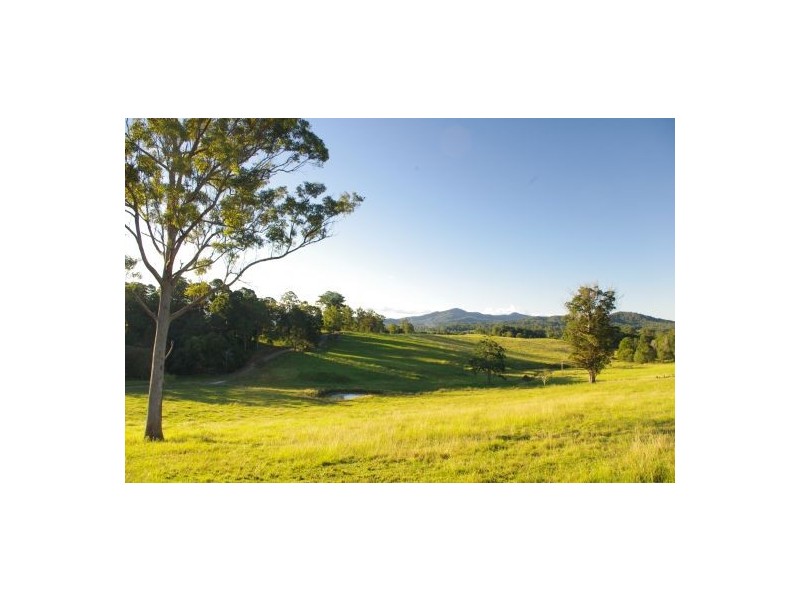 Congarinni North NSW 2447