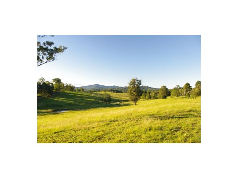 Congarinni North NSW 2447