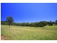Congarinni North NSW 2447