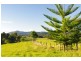 Congarinni North NSW 2447