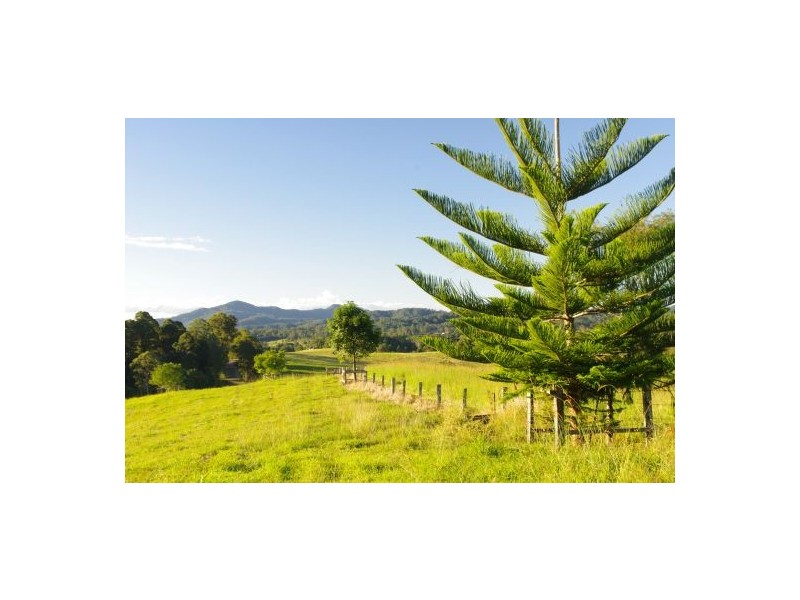 Congarinni North NSW 2447