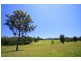 Congarinni North NSW 2447