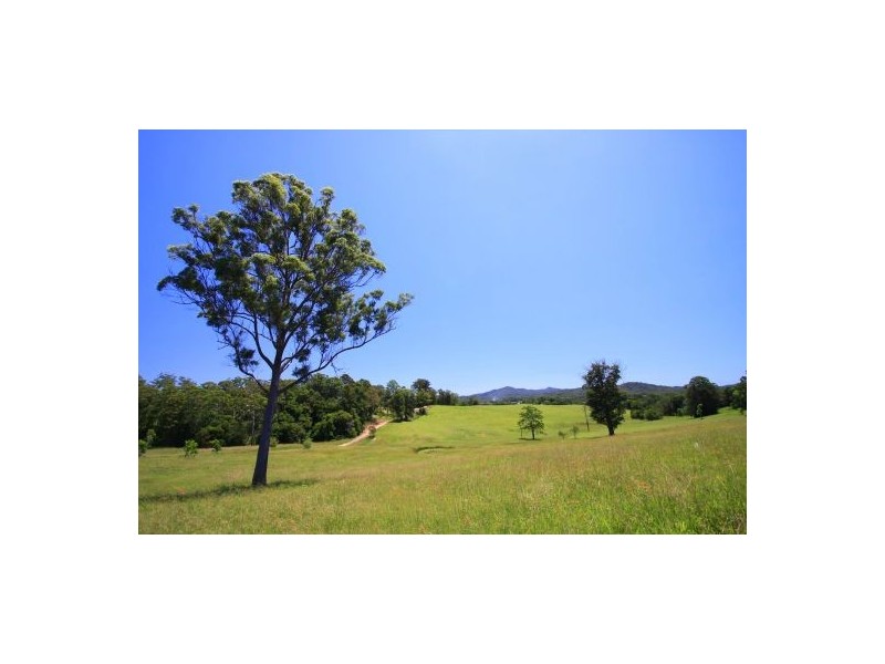 Congarinni North NSW 2447