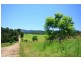 Congarinni North NSW 2447