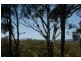 Nambucca Heads NSW 2448