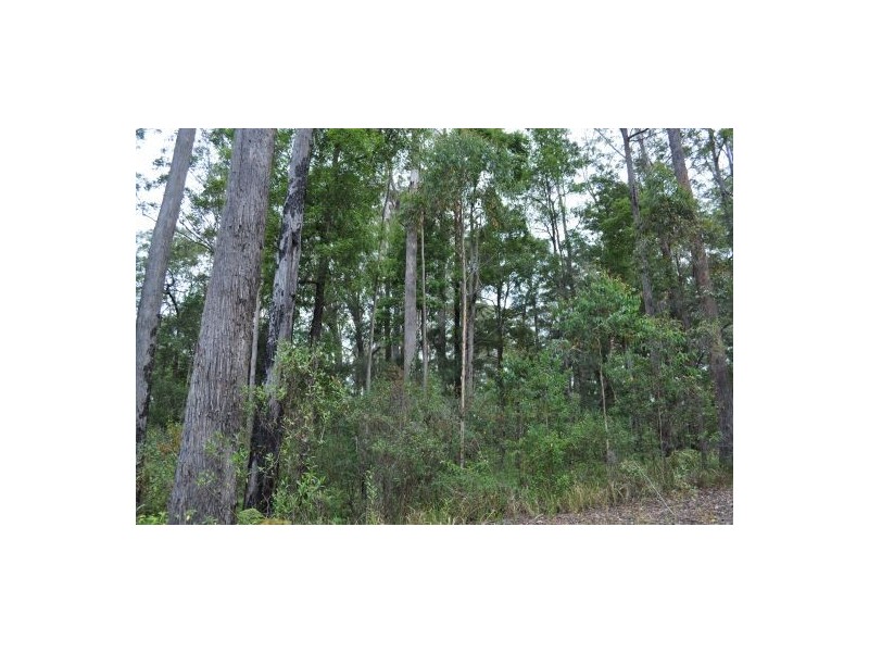 Valla NSW 2448