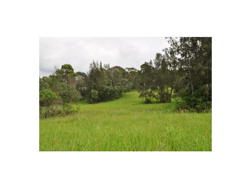 Grassy Head NSW 2441