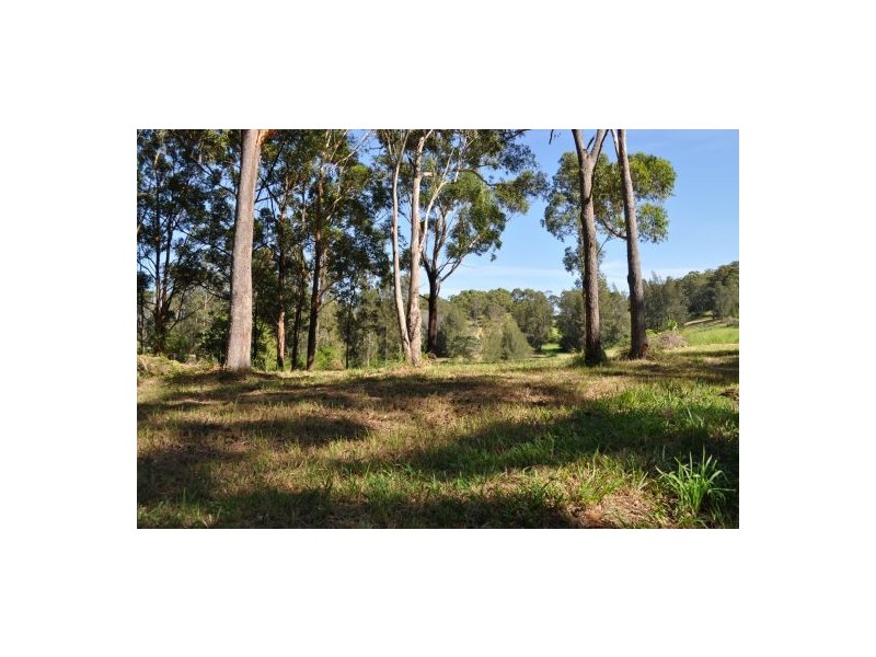 Grassy Head NSW 2441