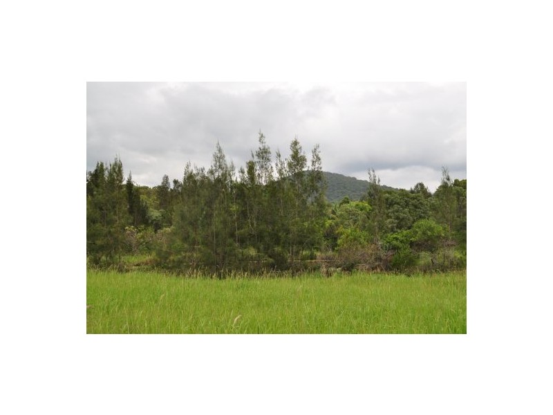 Grassy Head NSW 2441