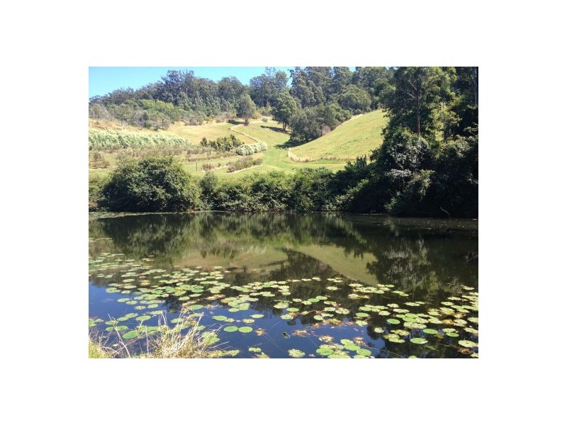 Yarrahapinni NSW 2441