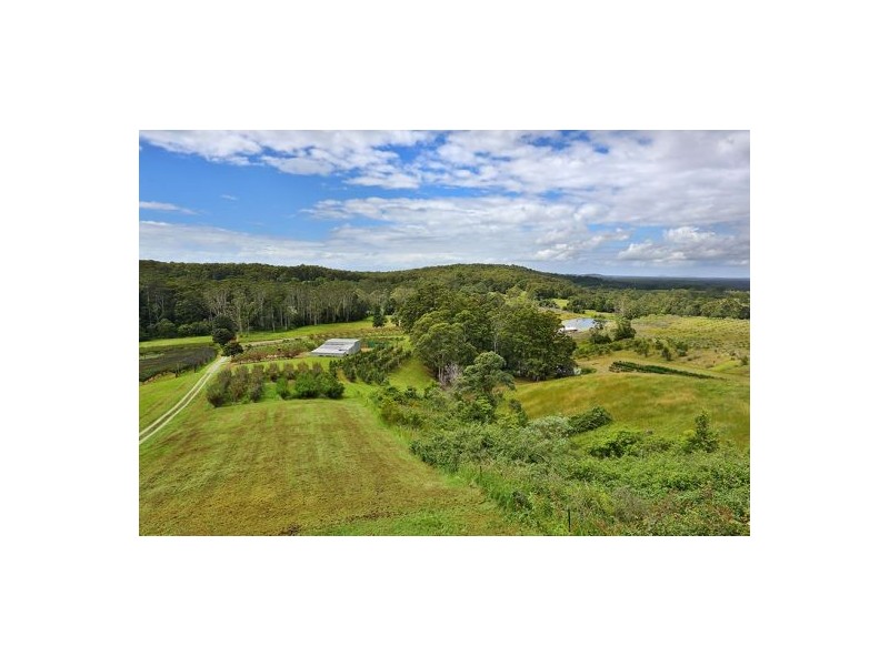 Yarrahapinni NSW 2441