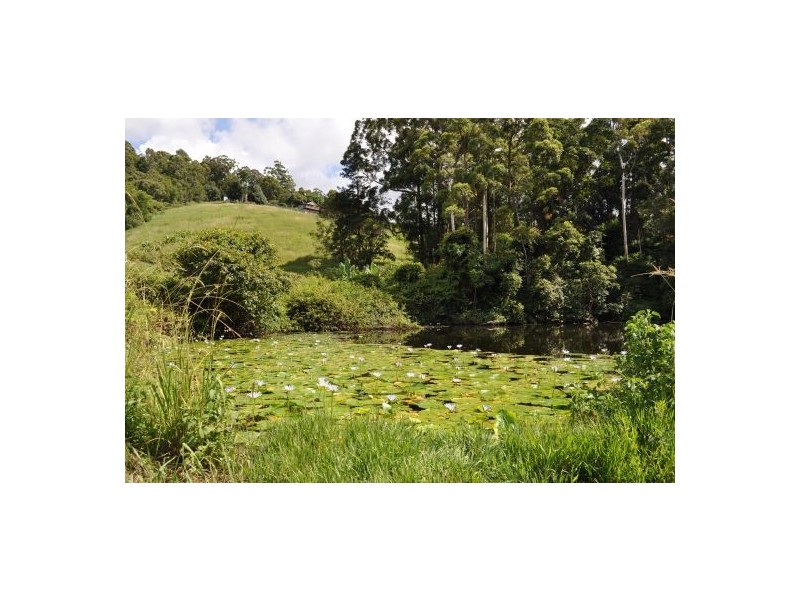 Yarrahapinni NSW 2441