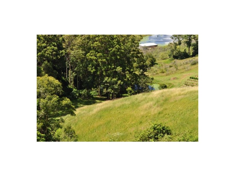 Yarrahapinni NSW 2441