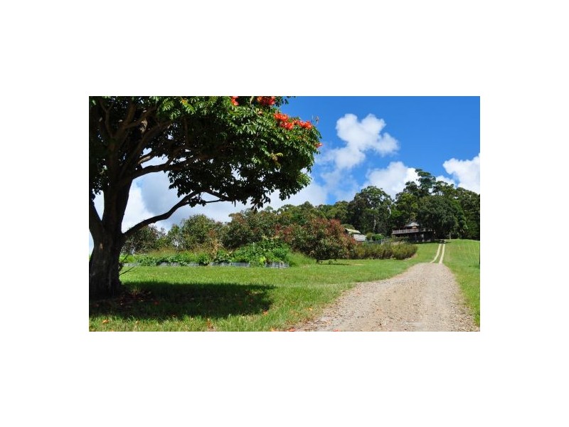 Yarrahapinni NSW 2441