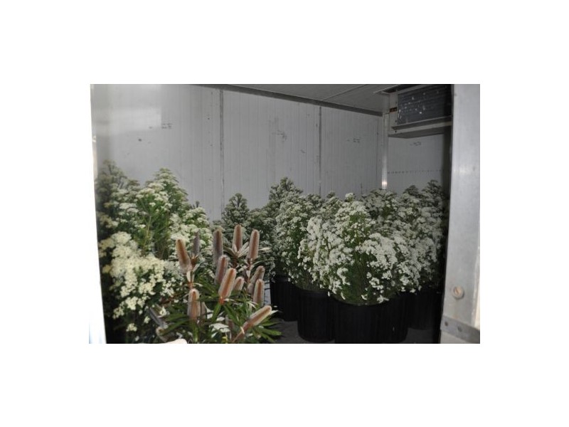 Yarrahapinni NSW 2441