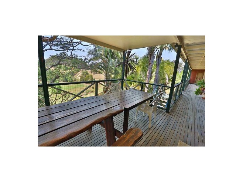 81 Irvines Road, Newee Creek NSW 2447