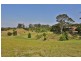 81 Irvines Road, Newee Creek NSW 2447