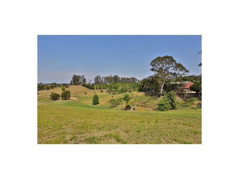 81 Irvines Road, Newee Creek NSW 2447