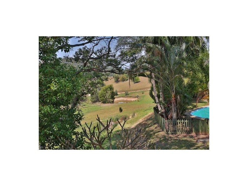 81 Irvines Road, Newee Creek NSW 2447