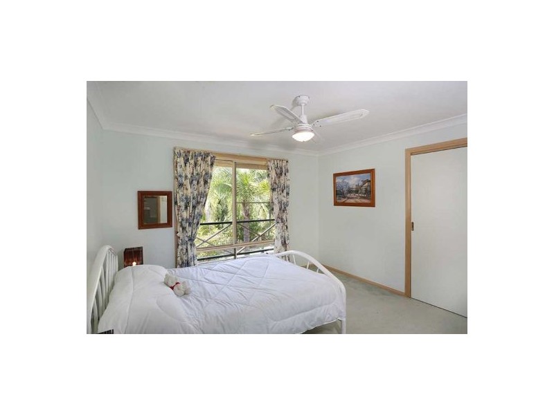 81 Irvines Road, Newee Creek NSW 2447