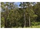 Lot 2 Echidna Road, Valla NSW 2448