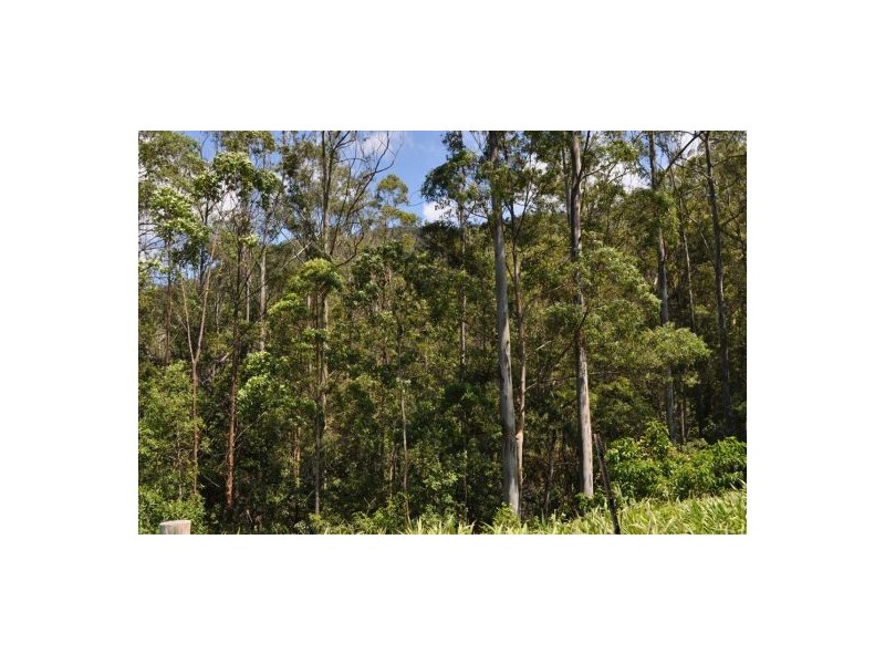 Lot 2 Echidna Road, Valla NSW 2448