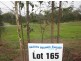 Lot 165 Seaforth Drive, Valla Beach NSW 2448