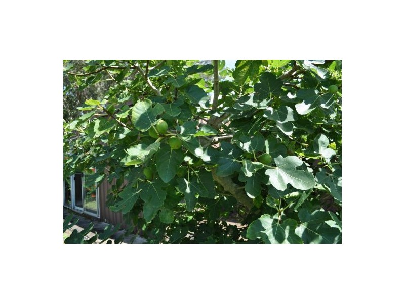 3 Lower Palmer Street, Nambucca Heads NSW 2448