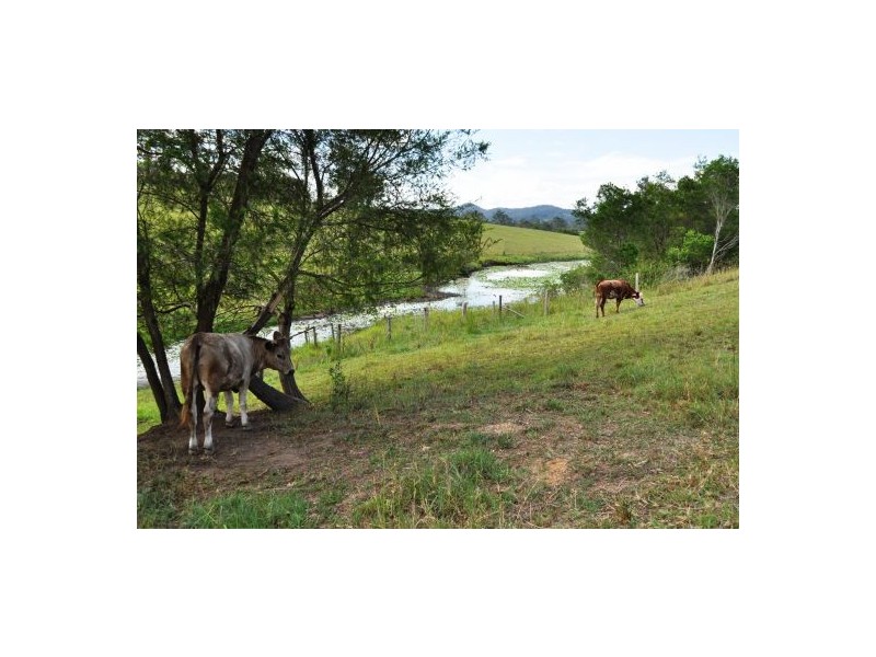 Congarinni NSW 2447