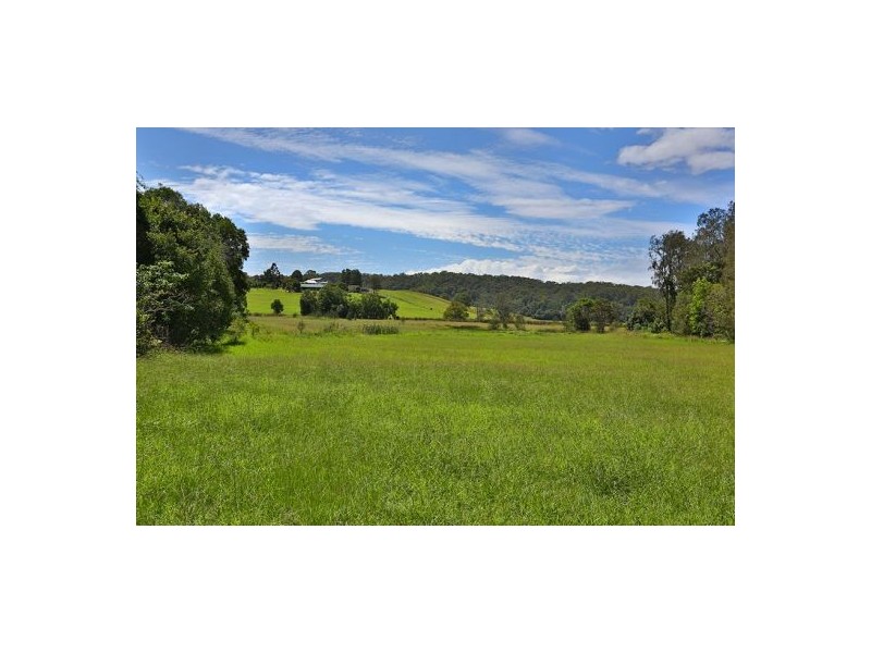Yarrahapinni NSW 2441