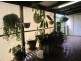 117 Wattlegrove Terrace, Valla Beach NSW 2448