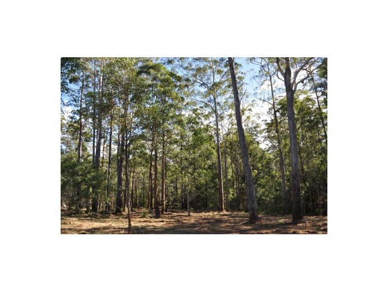 Lot 17 Tallowood Terrace, Valla NSW 2448