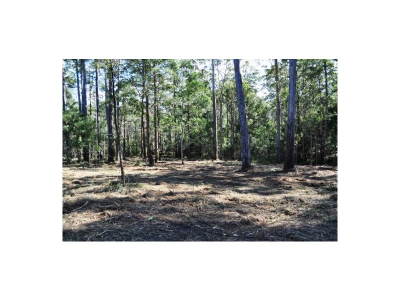 Lot 17 Tallowood Terrace, Valla NSW 2448