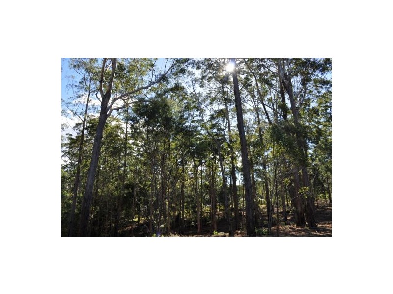 Lot 13 Tallowood Terrace, Valla NSW 2448