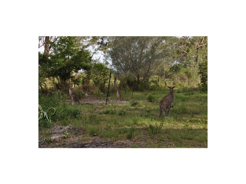 664 Fishermans Reach Road, Fishermans Reach NSW 2441